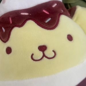 Meet your Posher, Rabi